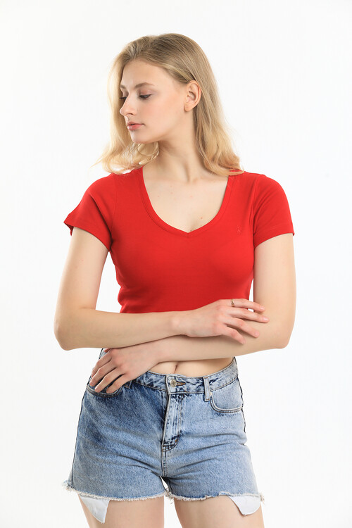 V Yaka Nakış Detaylı Crop Bluz